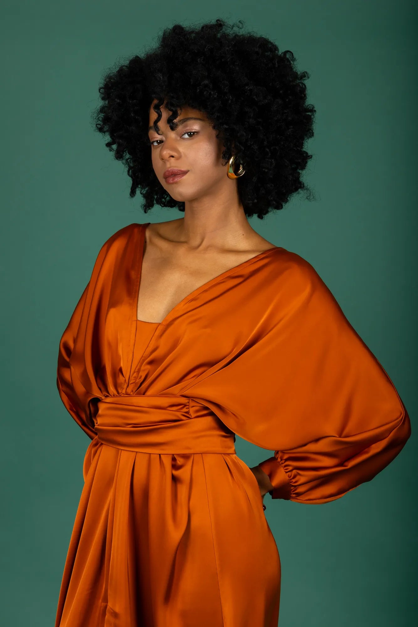 Diane Glossy Dress (Ginger)