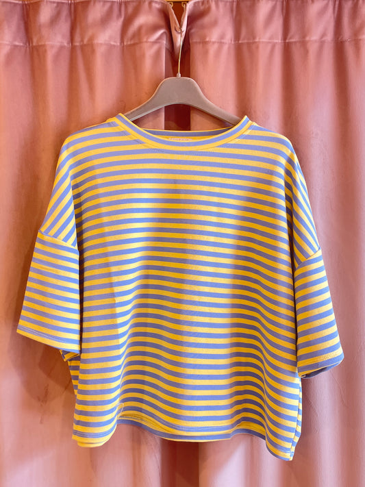 Boxy Cotton T-Shirt (sunny beach)