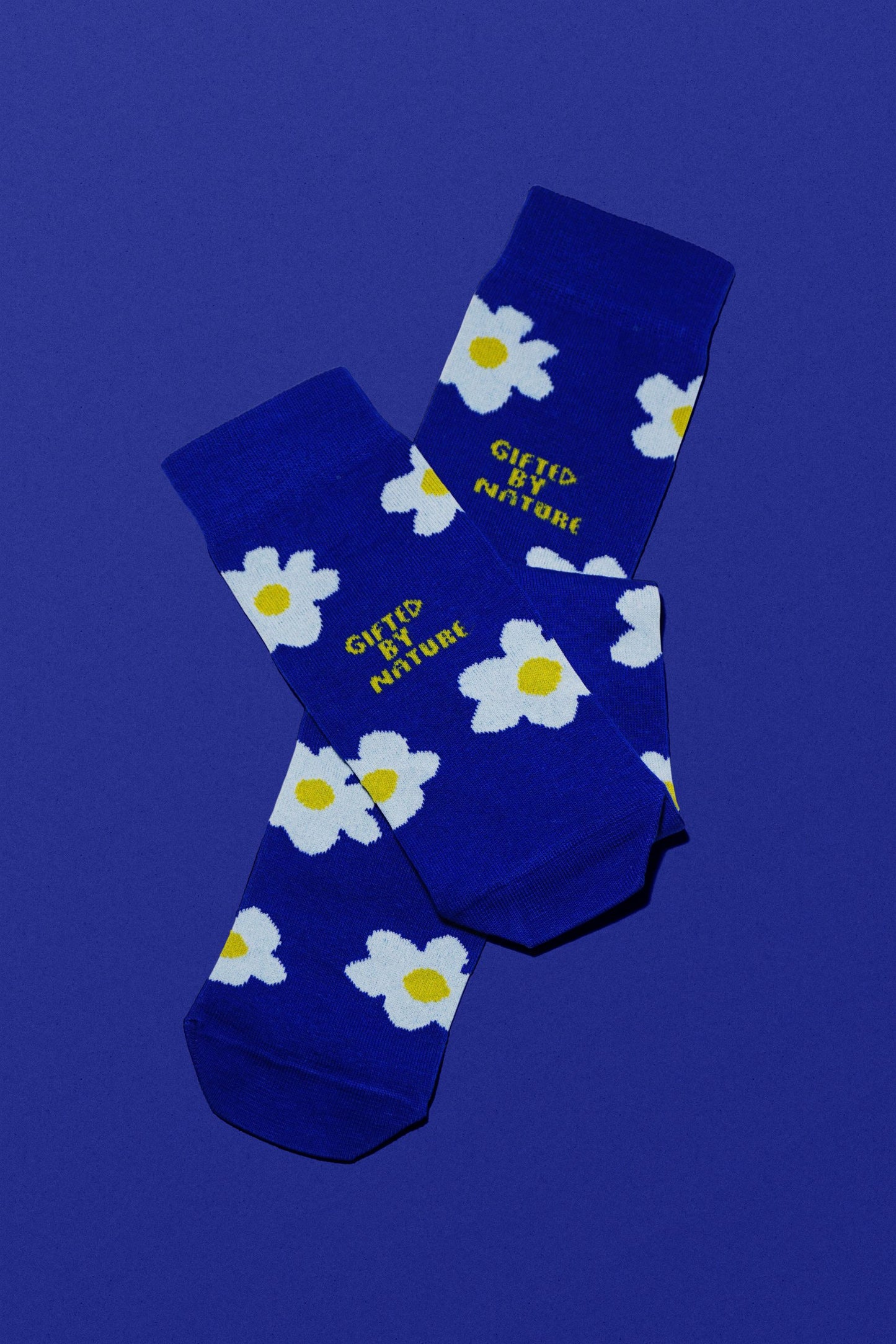 Blue Daisies Socks